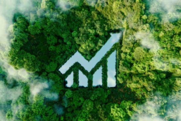 外汇帮别人开户可以吗,外汇帮助他人注册账户